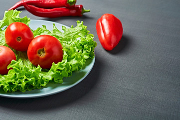 Fresh green fluffy leaves of salad lettuce, red pepper, tomato, plate lies on scratched dark concrete. Vegetarian, dieting, healthy, low calorie food. Space for text
