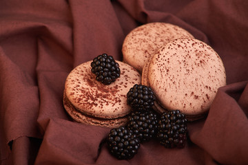fresh and delicious blackberries with chocolate macaroni on fabric. dessert
