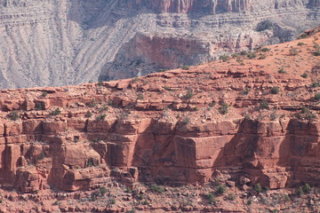 Grand Canyon Set 1