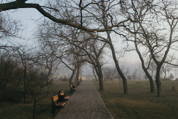 Early morning in an empty city park. A light mist seeps through the trees. At the turn of the park...