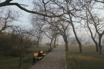 Early morning in an empty city park. A light mist seeps through the trees. At the turn of the park...
