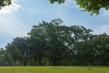 Khao Yai National Park is the largest rainforest in Thailand. There are many waterfalls. .There are various wildlife and plant species. .There are resorts and camping sites for people to relax in.