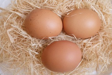 Close up three chicken eggs on brown dried hay in a basket in indoor space 