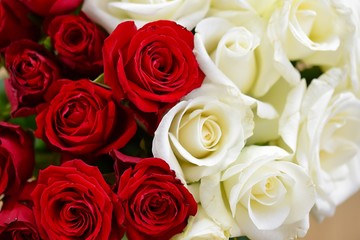bouquet of red and white roses