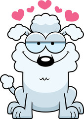 Little Poodle in Love