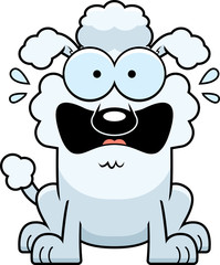 Terrified Little Poodle