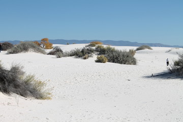 White Sands National Monument Vistas, Set 1