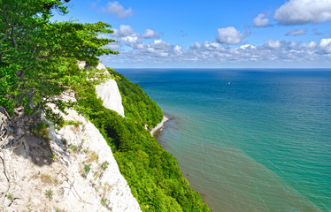 Fototapeta premium Chalk cliffs near Sassnitz, Island of Ruegen.