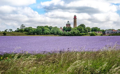 Kap Arkona with lighthouse