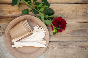 Eco-friendly disposable tableware, paper tableware. dishes for a picnic and camping, dishes, zero plastic, planet preservation, stop plastic