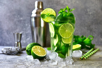Citrus cocktail mojito with lime and mint in a tall glass.