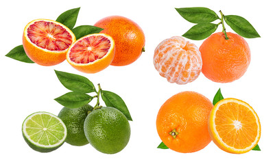 .Citrus Fruit Set tangerine, orange, lime isolated on white background.