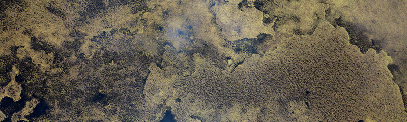 aerial abstract image of water and algae patterns at Lagoa Branca caldera crater on the Azores island of Ilha das Flores