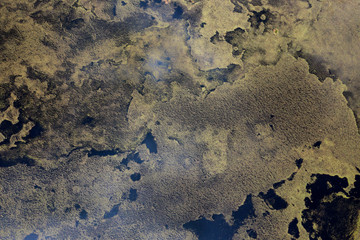 aerial abstract image of water and algae patterns at Lagoa Branca caldera crater on the Azores island of Ilha das Flores