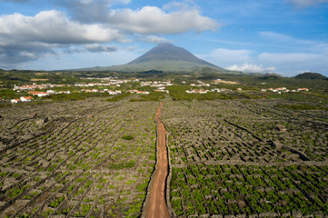 Aerial image showing typical vineyard culture (viticulture) landscape of Pico Island at Criação...