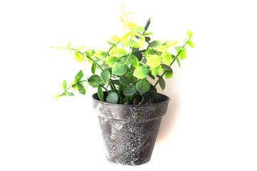 Potted plastic plants and flowers for decorations. Container made of aluminium, plastic, ceramic as well as clay. Plants include Cactus, cacti, beautiful green leaves and red flowers.
