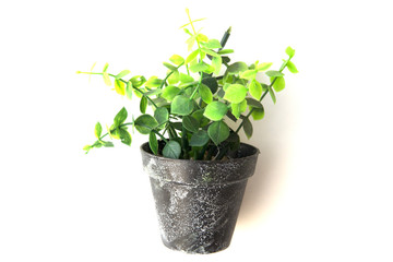 Potted plastic plants and flowers for decorations. Container made of aluminium, plastic, ceramic as well as clay. Plants include Cactus, cacti, beautiful green leaves and red flowers.