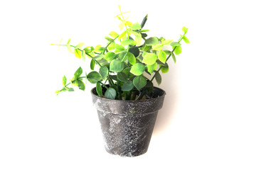 Potted plastic plants and flowers for decorations. Container made of aluminium, plastic, ceramic as well as clay. Plants include Cactus, cacti, beautiful green leaves and red flowers.