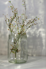 vintage composition, jars with flowers and shadows on a white background