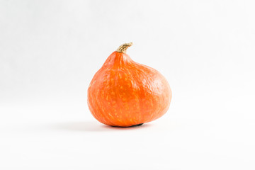 pumpkin isolate on white background close-up