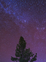 Estrellas via lactea
