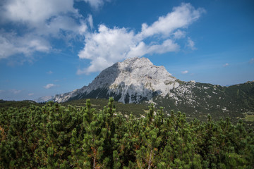 beautiful mountain view in the Alps