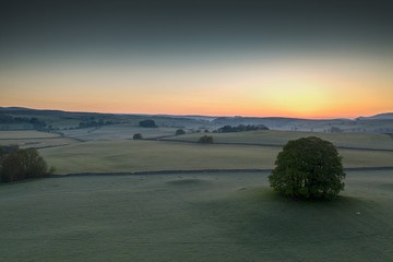 Sunrise over a tree in the Yorkshire Dales