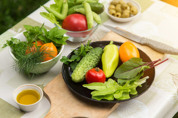 Fresh vegetables. Ingredients for cooking vegetarian, diet food