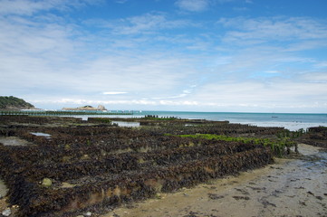 Cancale 