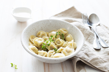 Homemade Meat Dumplings in white plate
