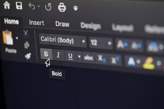 Change font type in microsoft office word software