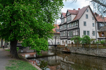 Fototapeta na wymiar Traditional houses along the Gera River in Erfurt