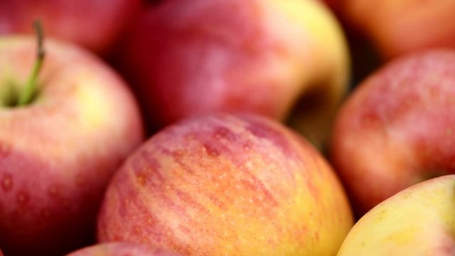Rotating Apples (seamless loopable 4K UHD footage)