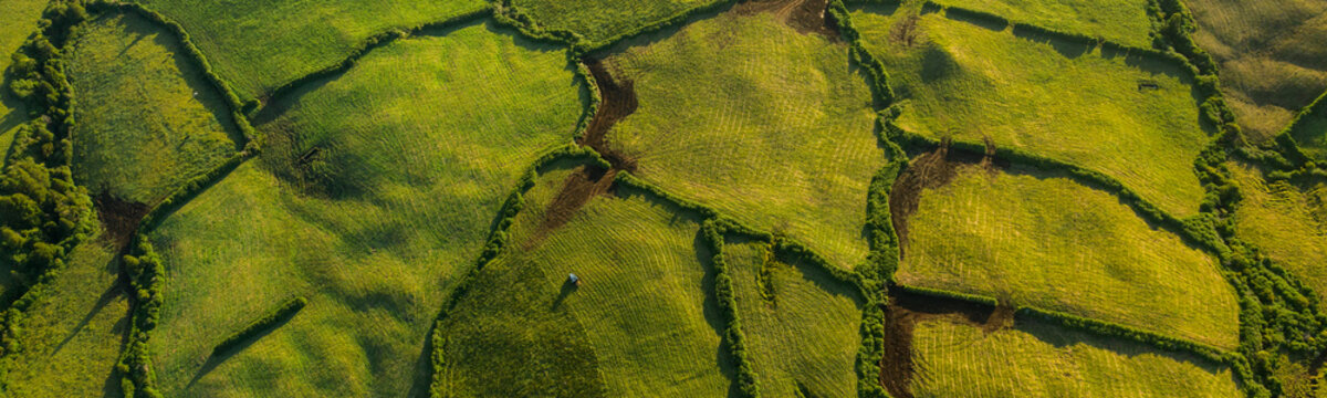 Aerial image showing typical farmland being harvest by a tractor on a beautiful morning with magic lateral light at Sao Jorge Island