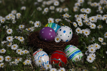 Easter eggs in daisy flowers.