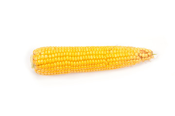 Corn cob on white background