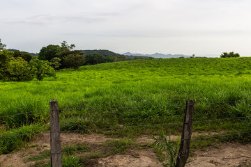 Fototapeta na wymiar Country side of Costa Rica, Guanacaste Province