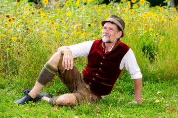 Naklejka na ściany i meble handsome bavarian man sitting in front of field of sunflowers