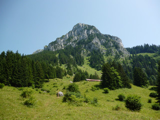 Montagne 2