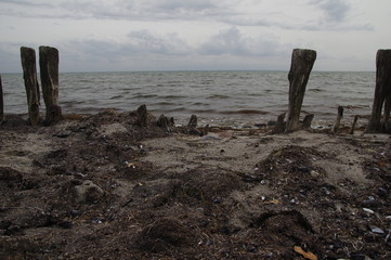 Ostseeküste mit alten Holzpfählen