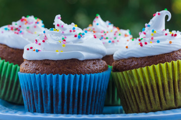 Delicious muffins with white cream and colored sprinkles on a wooden table on a background of green foliage.