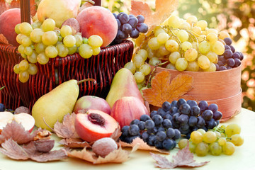 Autumn fruit, autumn organic fruits on table - autumn harvest