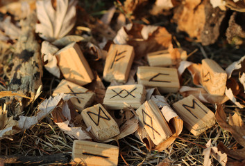 A side view of the Runic alphabet that lies on yellow foliage and dry grass. Set for a magic ritual. Blur effect. Beautiful colors at sunset