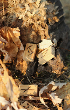 view of several runes that lie on a wooden stump, behind yellow leaves. Nature and vegetation. The concept of magic and mysticism
