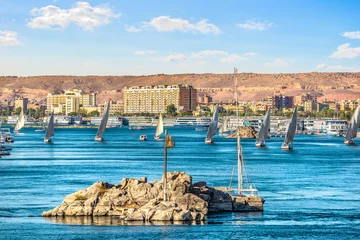 Foto op Plexiglas Row of sailboats in Aswan © zevana