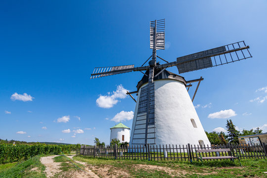 Retz windmill and vineyard