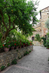 Fototapeta na wymiar Delicious naive glimpse of the small town of Pienza in Tuscany, Italy