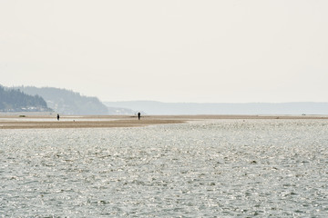 Low tide beach on Puget Sound