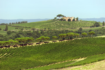 Obraz premium View of the Tuscan hills near the city of Montepulciano, Italy