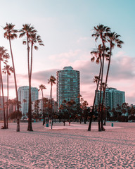 Long Beach skyline - obrazy, fototapety, plakaty